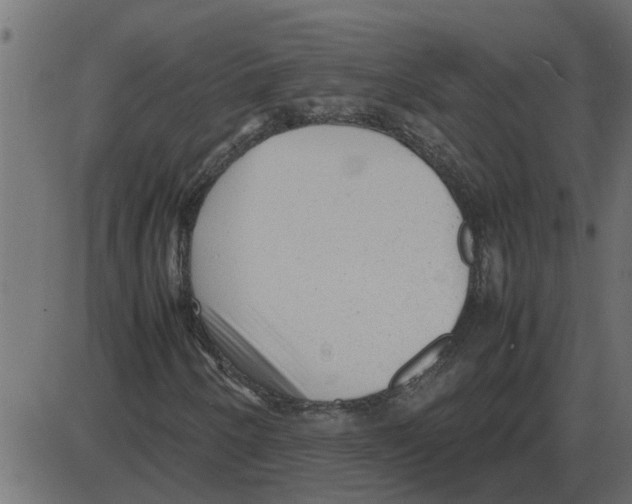 X0000087401250200705181324