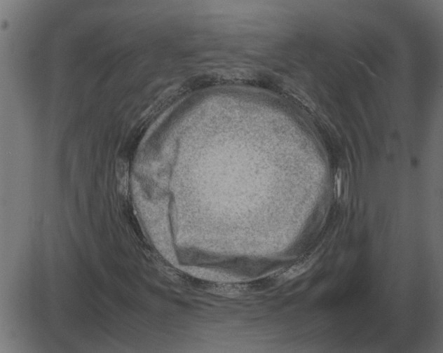 X0000087401251200705181323