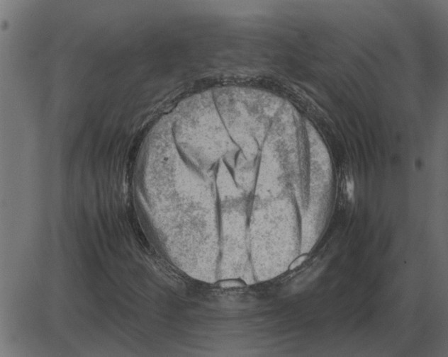 X0000087401252200705181323