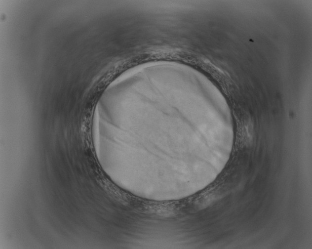 X0000087401254200705181323