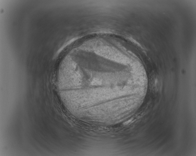 X0000087401255200705181323