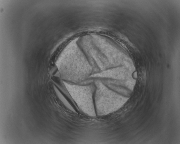 X0000087401256200705181323