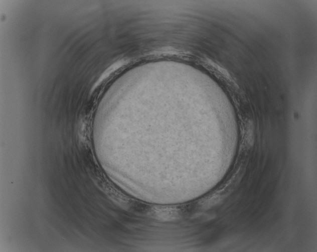 X0000087401258200705181323