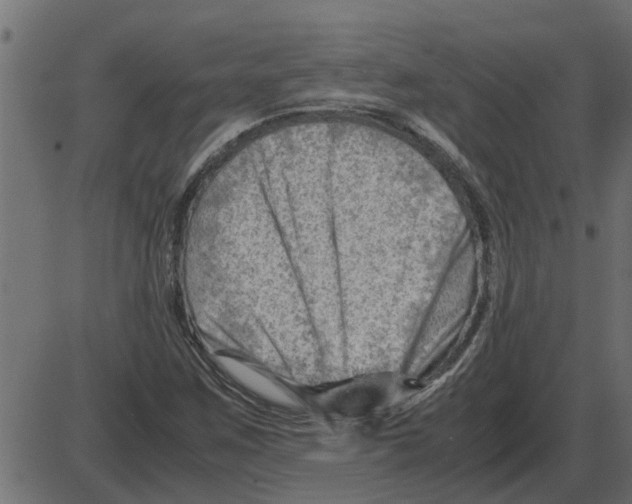 X0000087401259200705181323