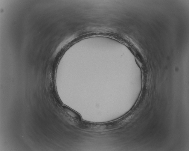 X0000087401261200705181323