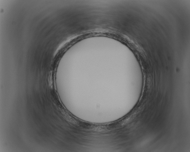 X0000087401262200705181323