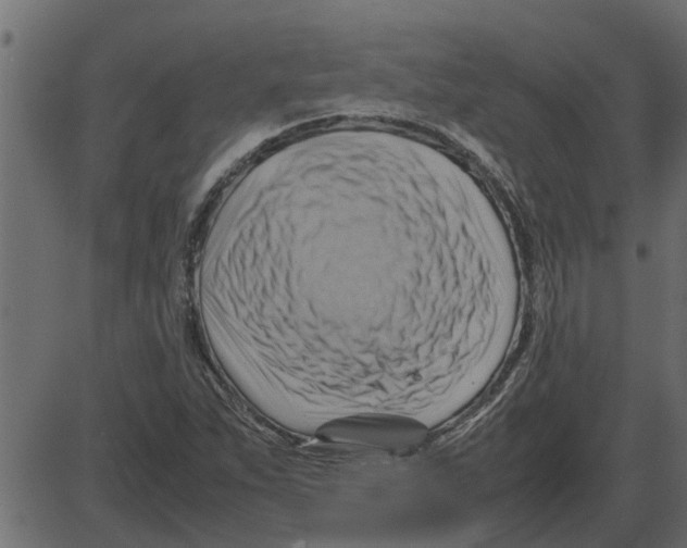 X0000087401263200705181323