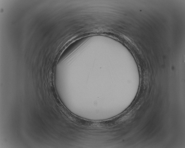 X0000087401265200705181323