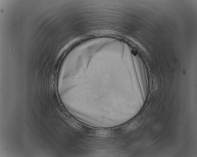 X0000087401266200705181323