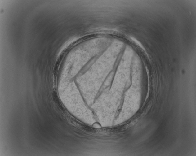 X0000087401267200705181323