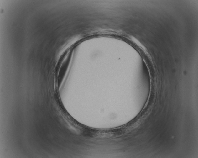 X0000087401269200705181323