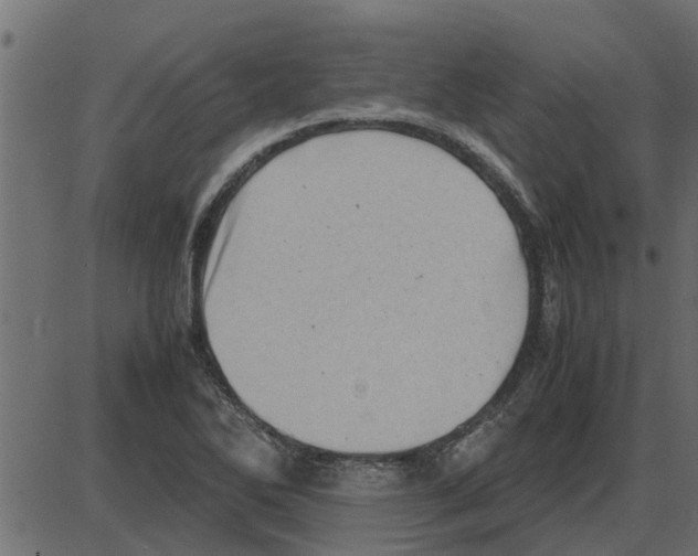 X0000087401270200705181323