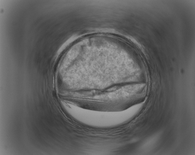 X0000087401271200705181323