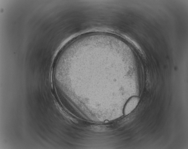 X0000087401272200705181323