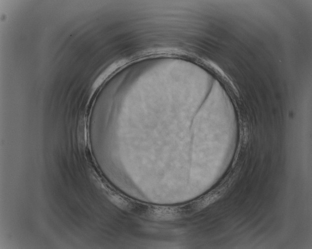 X0000087401274200705181323