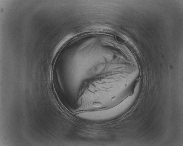 X0000087401275200705181323