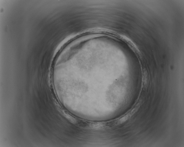 X0000087401278200705181323