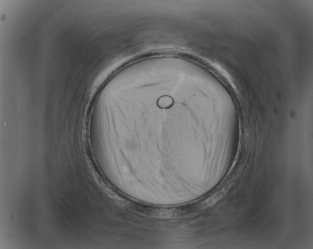 X0000087401279200705181323