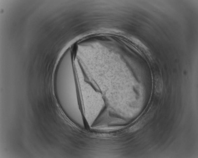 X0000087401280200705181323