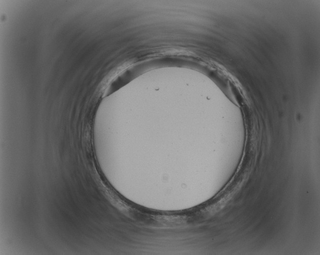 X0000087401281200705181323