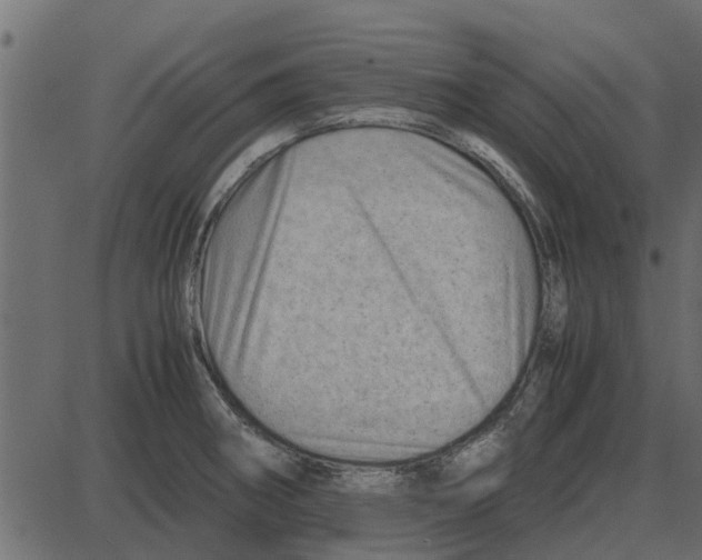 X0000087401282200705181323