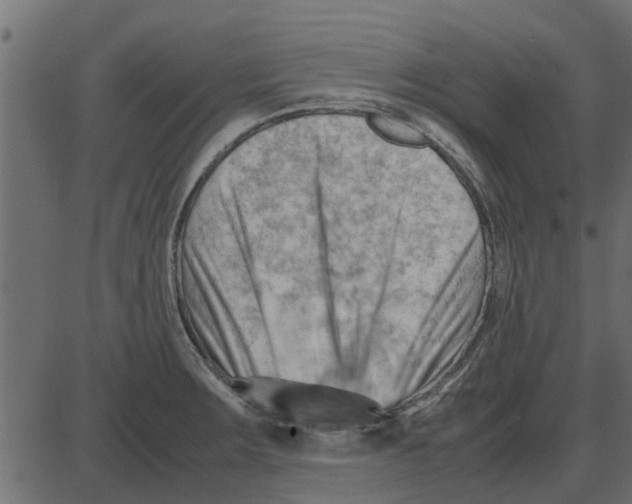 X0000087401283200705181323