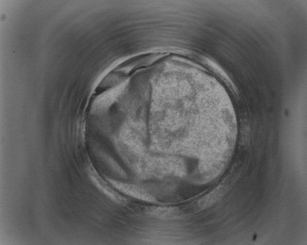 X0000087401284200705181323