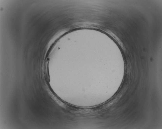 X0000087401285200705181323