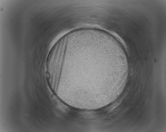 X0000087401287200705181323