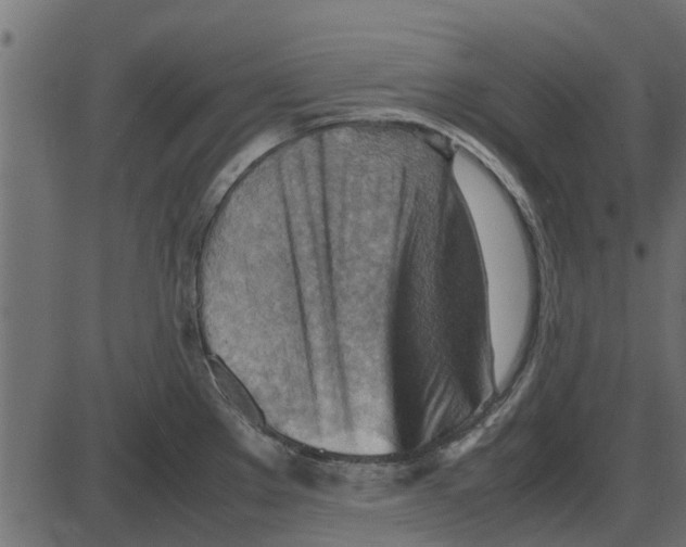 X0000087401289200705181323