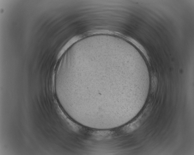 X0000087401290200705181323