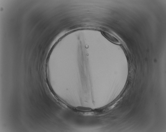 X0000087401291200705181323