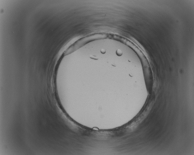 X0000087401293200705181323