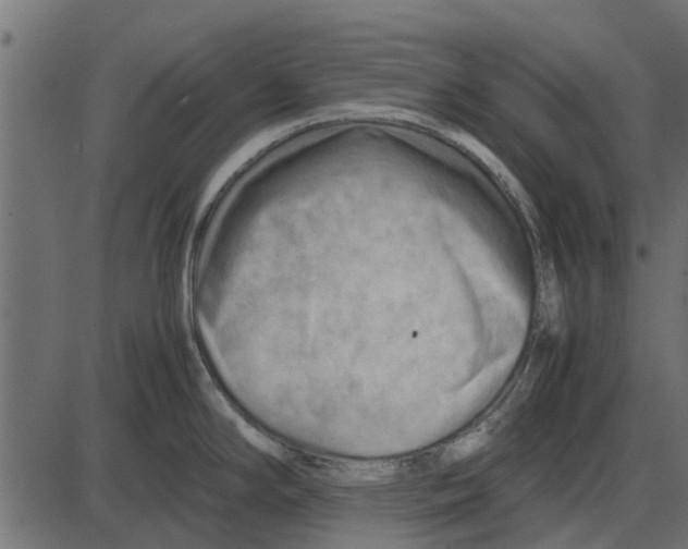 X0000087401294200705181323