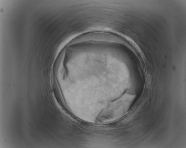 X0000087401295200705181323