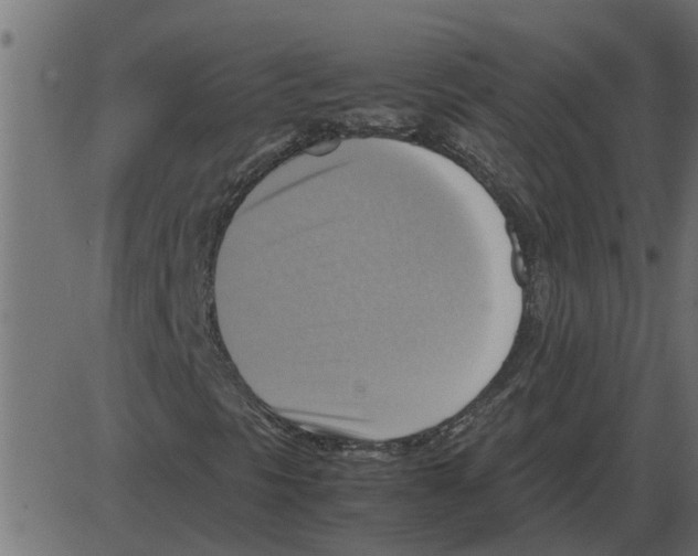 X0000087401297200705181322