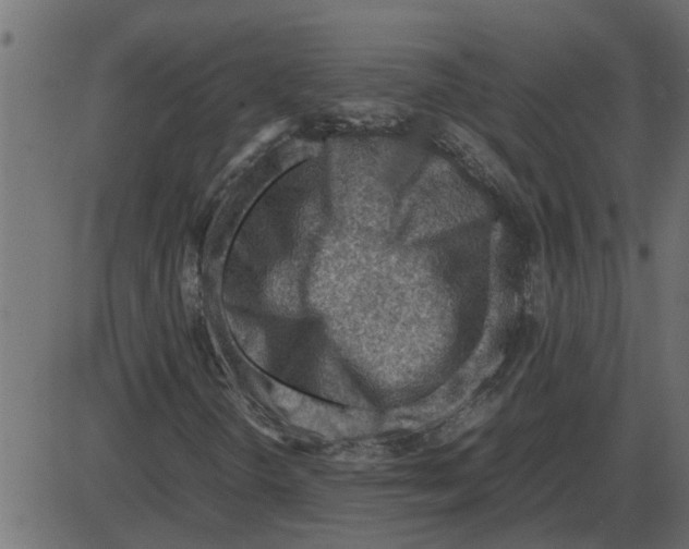 X0000087401298200705181322