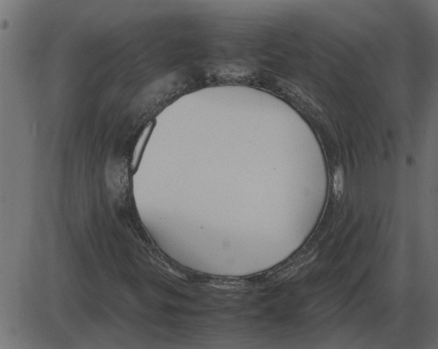 X0000087401299200705181322