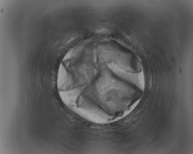 X0000087401301200705181322