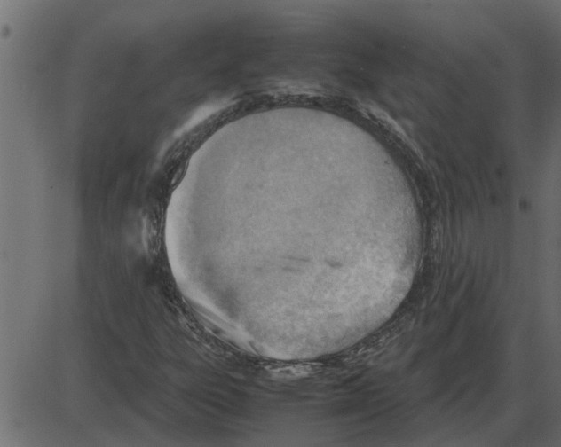 X0000087401303200705181322