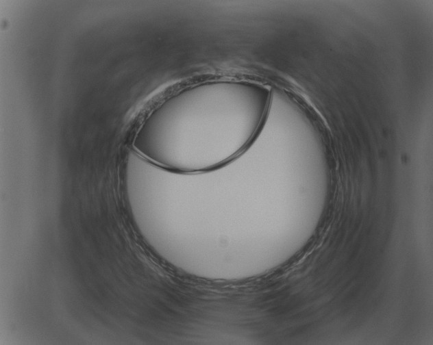 X0000087401304200705181322