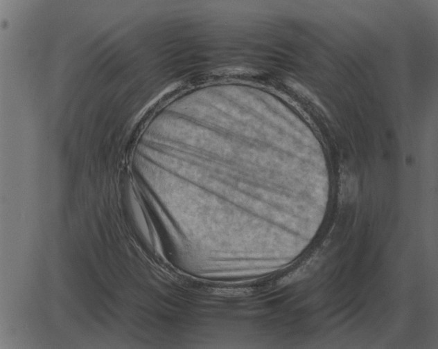 X0000087401305200705181322