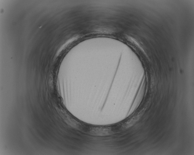 X0000087401307200705181322