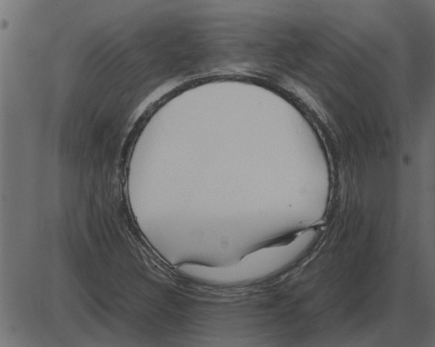 X0000087401308200705181322