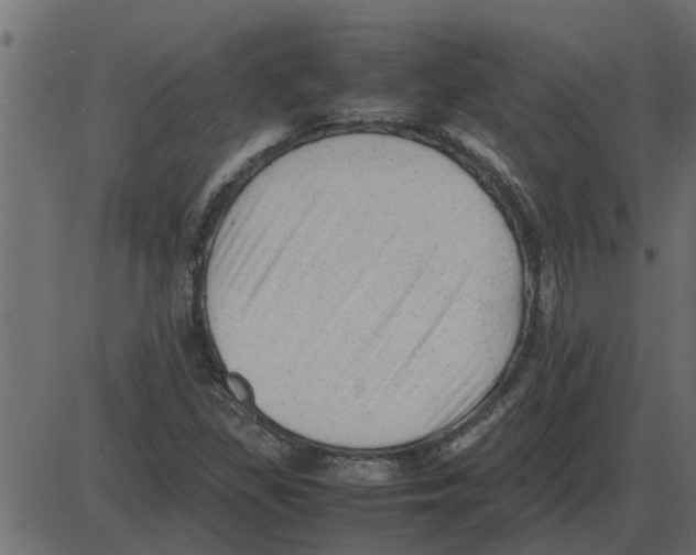 X0000087401309200705181322