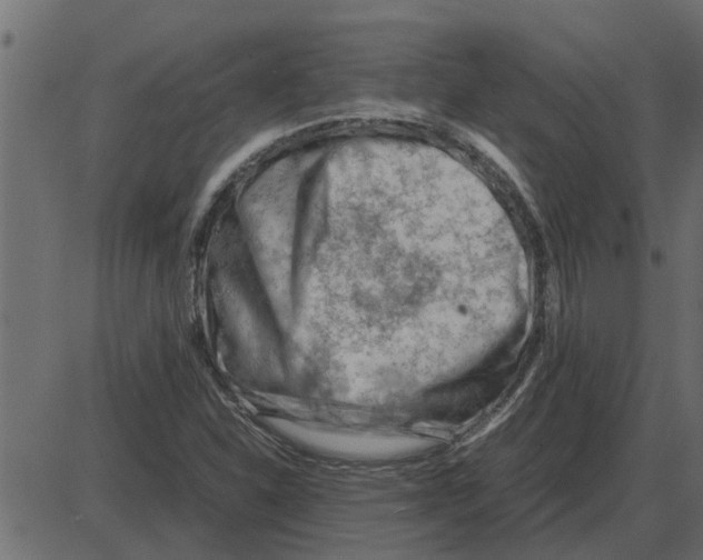 X0000087401310200705181322