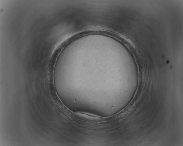 X0000087401311200705181322