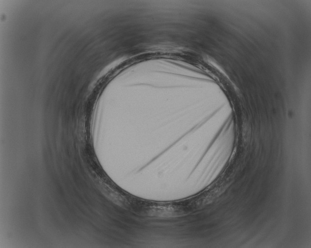 X0000087401315200705181322