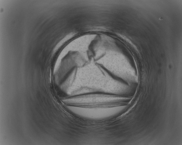 X0000087401317200705181322