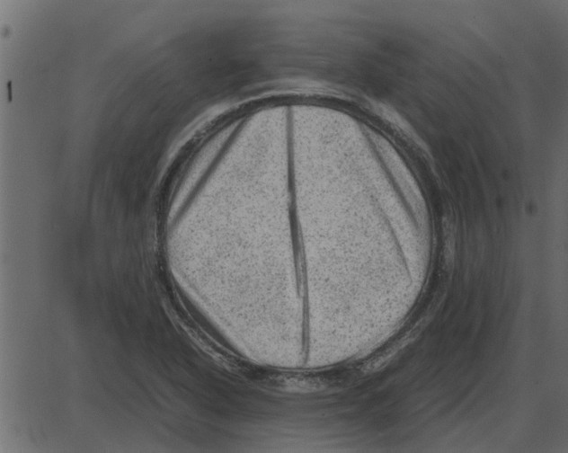 X0000087401318200705181322